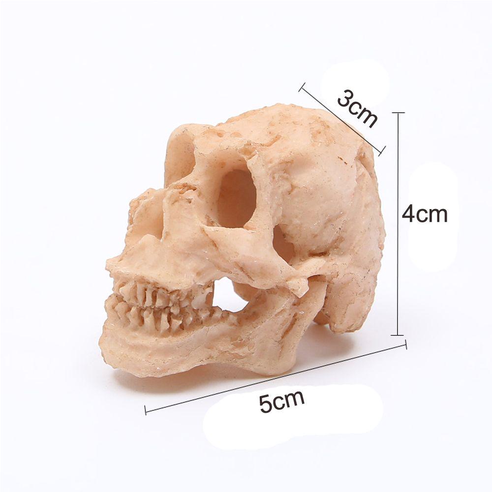 Смола Череп Орнамент Аквариум Декор Декоративный Ландшафтный Дизайн Аквариум Пейзаж Украшения Для Рыбного Аквариума