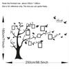 Large 250*180cm/99*71in Black Photo Frame Tree Wall Decals Self Adhesive Family Tree Wall Stickers Murals Wall Art Home Decor
