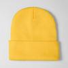 [Spot] Hot-selling large-size knitted hats, European and American trends, outdoor warm flanging cold hats