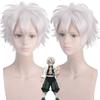 Anime 28cm Division Rap Battle Hypnosis MIC Aohitsugi Samatoki Short Silver White Wig Heat Resistant Synthetic Hair Cosplay Wigs