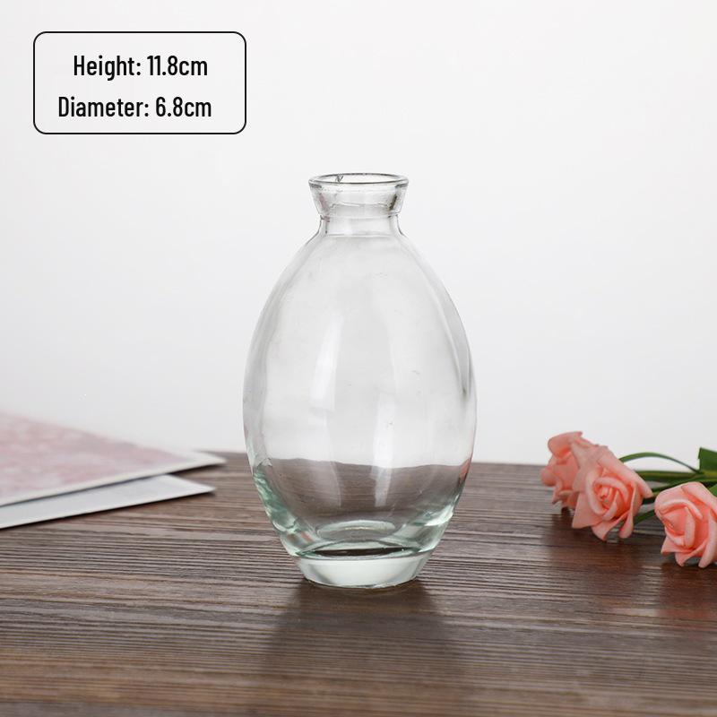 Small French Retro Glass Hydroponic Vase for Home Decor