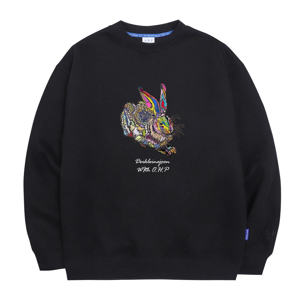 OHP Ohp X Dk.Joon Кролик Дюрера Нет. 2 толстовки с флисовой подкладкой