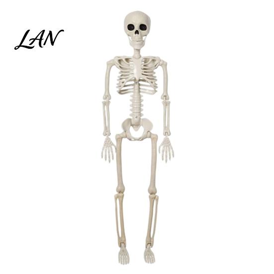 Flexible Skeleton for Film Props Halloween Decoration, 3Ft Life Size Full Body Human Bone, Realistic Posable Decor Holiday Party with Movable