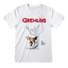 Gremlins Unisex Adult Gremlin Poster T-Shirt