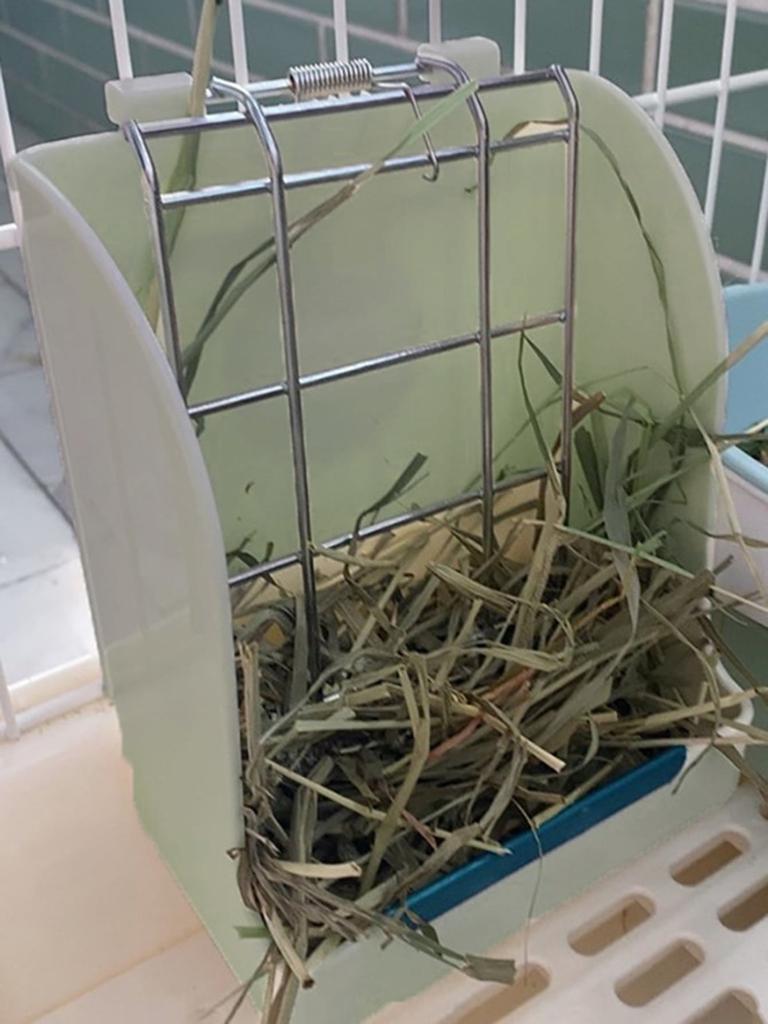 1pc-Rabbit Hay and Food Feeders - the Perfect Choice for Indoor Use - Promote Healthy Eating Habits