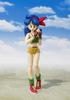 Tamashi Nations Dragonball Bandai Spirits - - Обед, SHFiguarts