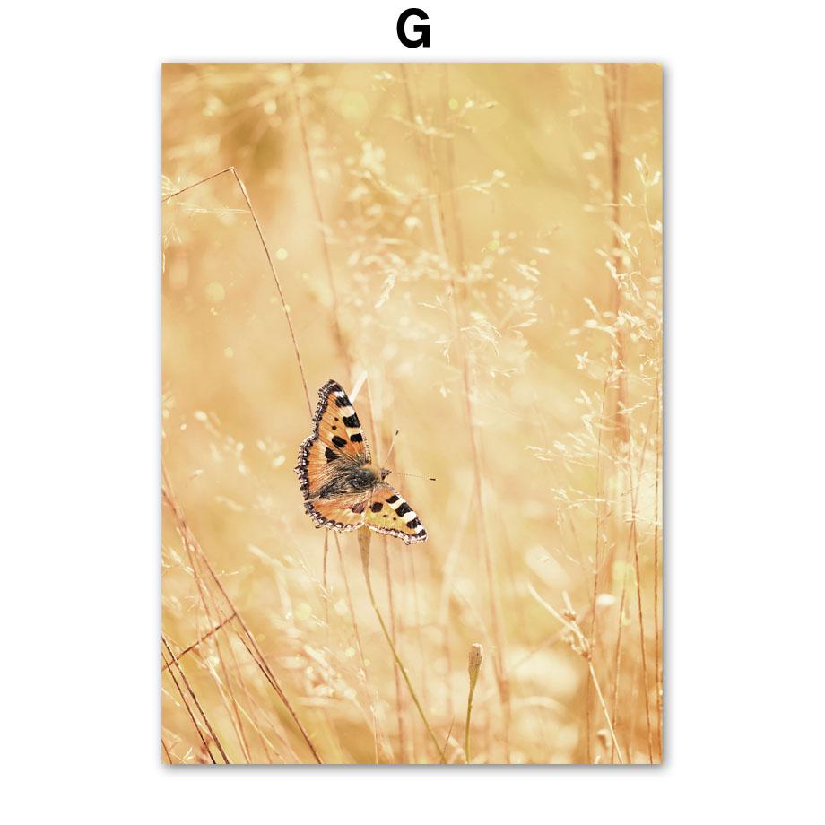 Осенние полевые постеры с бабочкой и тыквой, настенная живопись на холсте, постеры на скандинавскую тему и принты, фотографии для гостиной, домашний декор