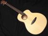 aNueNue Bird Guitar Solid Sitka Spruce Top Spruce Solid Top Anuenue Acoustic Guitar Electric Acoustic aNN-L10E