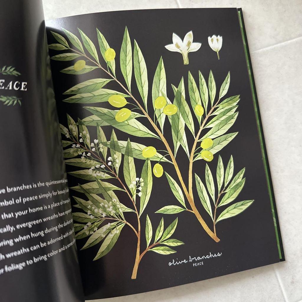 [Б/У] Красивый учебник по цветам