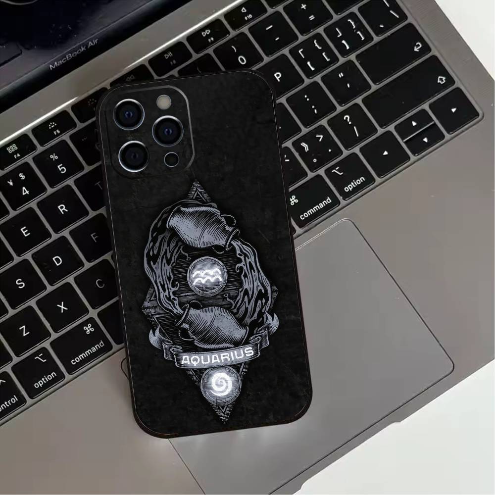 Twelve zodiac signs Phone Case For iPhone 17,16,15,14,13,12,11 Plus,Pro Max,XS,Soft Silicone Black Cover