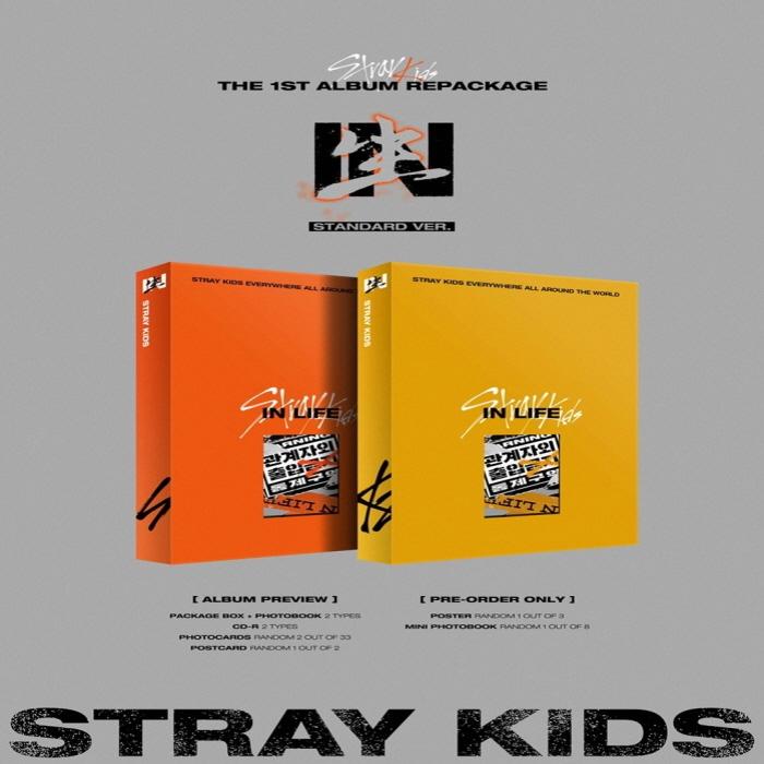 Stray Kids ТОМ.1 ПЕРЕПАКЕТ В ЖИЗНЬ [Случайная версия]