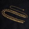 Bohemian Ethnic Style Retro Coin Fringed Waist Chain, Foot Chain, Women's Adjustable Dress Waist Seal Belt