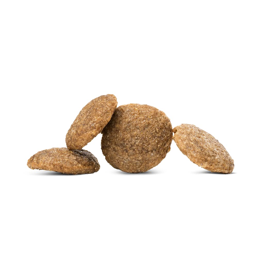 HAPPY DOG VET Интестинальный Лечебный Корм с Низким Содержанием Жира Для Всех Пород Собак Взрослых и Пожилых Не содержит Глютена Не содержит Добавок Подходит Для Людей Сделано в Германии Сухой Корм Для Собак