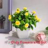 Fake Miniature Daisy Plant Decor With Plastic Craftsmanship For Living Spaces