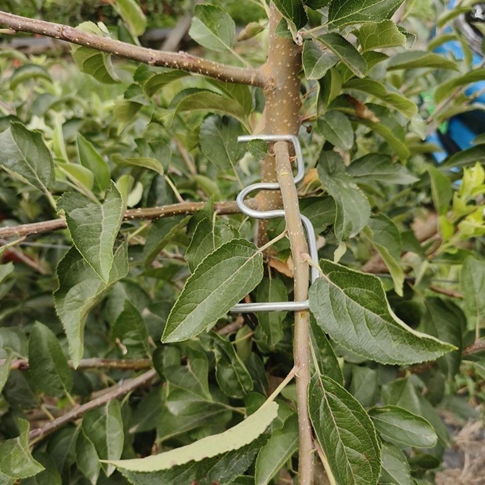 10Pcs Shape Fixator Branch Shaping Device Metal Branch Bending Tools Fruit Tree Training