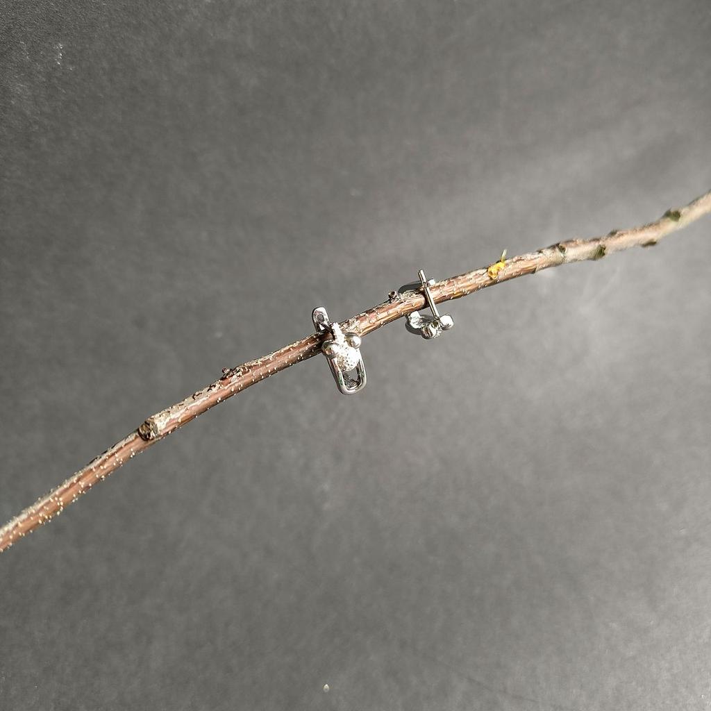 Silver Earrings with Cubic Zirkonia (2160786)