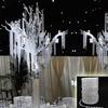 30 Meters Transparent Plastic Resin Beads Curtain Window Door Wedding Backdrop MIT