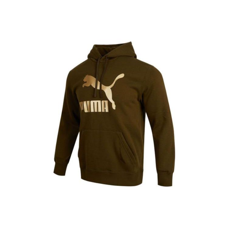 Puma Logo Print Long Sleeve Hooded Sweatshirt Men Tops Brown 537678-62