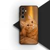 Чехол для телефона Apple iPhone 17 Air 12 13 Pro Max Mini ProMax 7 + 8 Plus 7+ 8+ Мягкий силиконовый чехол Глаза Кошка Мяу Котёнок Лапа