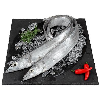 Замороженная рыба-сабля из Чжоушаня (Голова и хвост удалены)