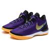 Nike Увеличить Мужские кроссовки LeBron NXXT Gen EP Lakers Purple Court-Purple Black DR8788-500