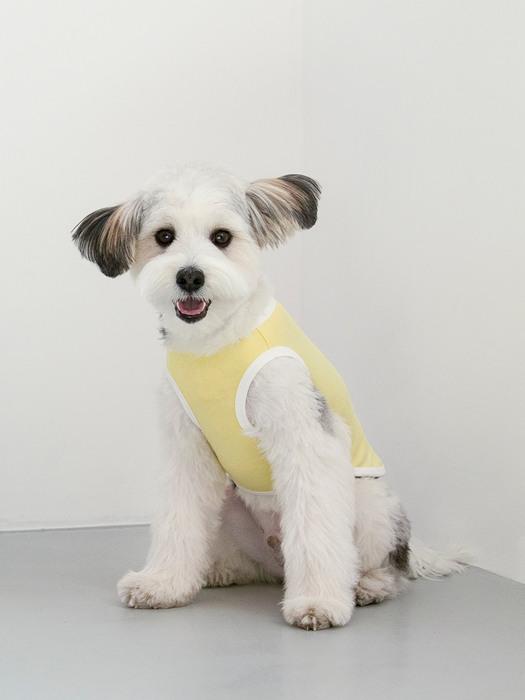 Футболка размера foreverybari (лимон желтый)