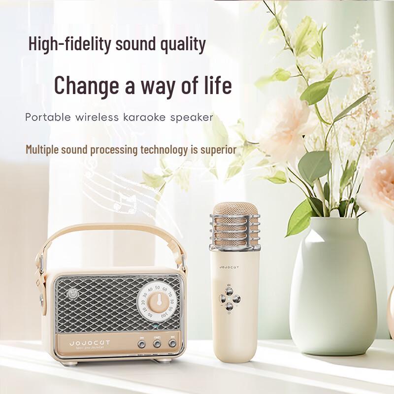 Wanwu C18 Retro Wireless Karaoke Bluetooth Speaker
