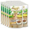 Stuzzy Sfilaccetti Cat Shreds Wet Cat Food Chicken And Ham 85G Pouch
