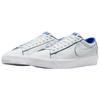 Sb Blazer Low Pro Gt Premium Fine China FZ1300-100