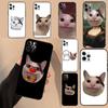 Мемное лицо Белуги Улыбающийся Чехол Для Oppo A17 A57 A77 A74 A54 A94 A78 A98 A18 A60 A80 A40 A38 A58 A96 A76 A16 A15 A5 Pro