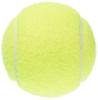 LEZAX Vigors Жесткий теннисный мяч (6 шт.) VSTN-6760 Желтый
