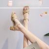 2025 New Sandals Female Summer with Skirt Fairy Sandals Word with Internet Celebrity Weaving Female Thick Heel Versatile