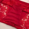 Women's Large Size Lace Briefs High Elastic Seamless Panties XL-4XL Women's Underwear