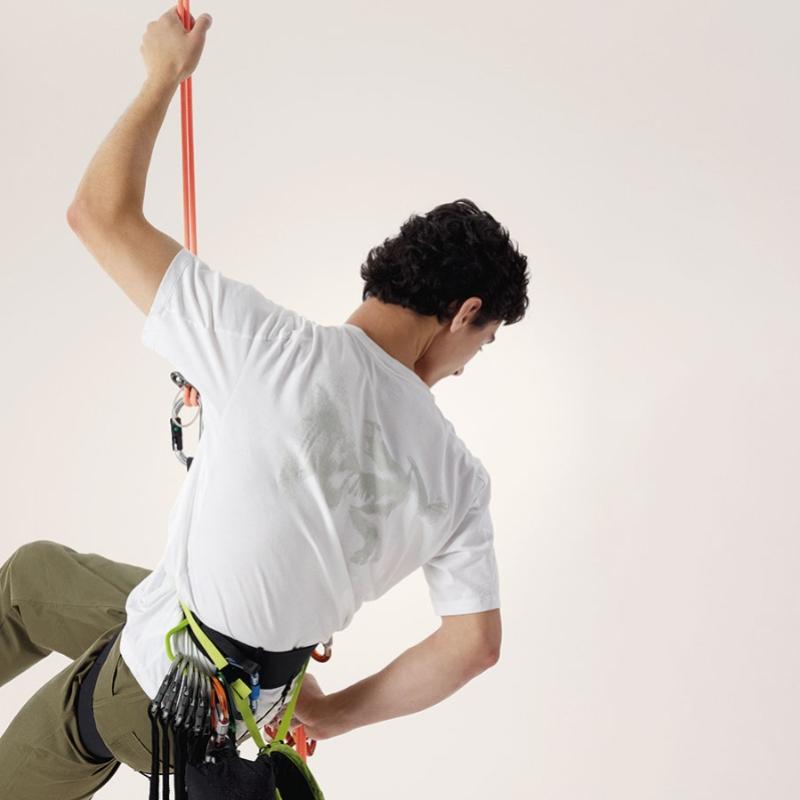 Arcteryx Men S Crag Sl Cotton Blood Bird Shirt SS Le122189