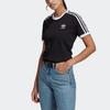 Adidas Originals ADICOLOR CLASSICS 3 Set in Sleeve T Shirt Women's Black GN2900