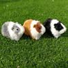 PP Cotton Plush Guinea Pig Doll Hollow Animal Stuffed Plushie Doll Birthday Parties