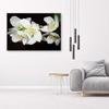 Canvas print, Flowering jasmine