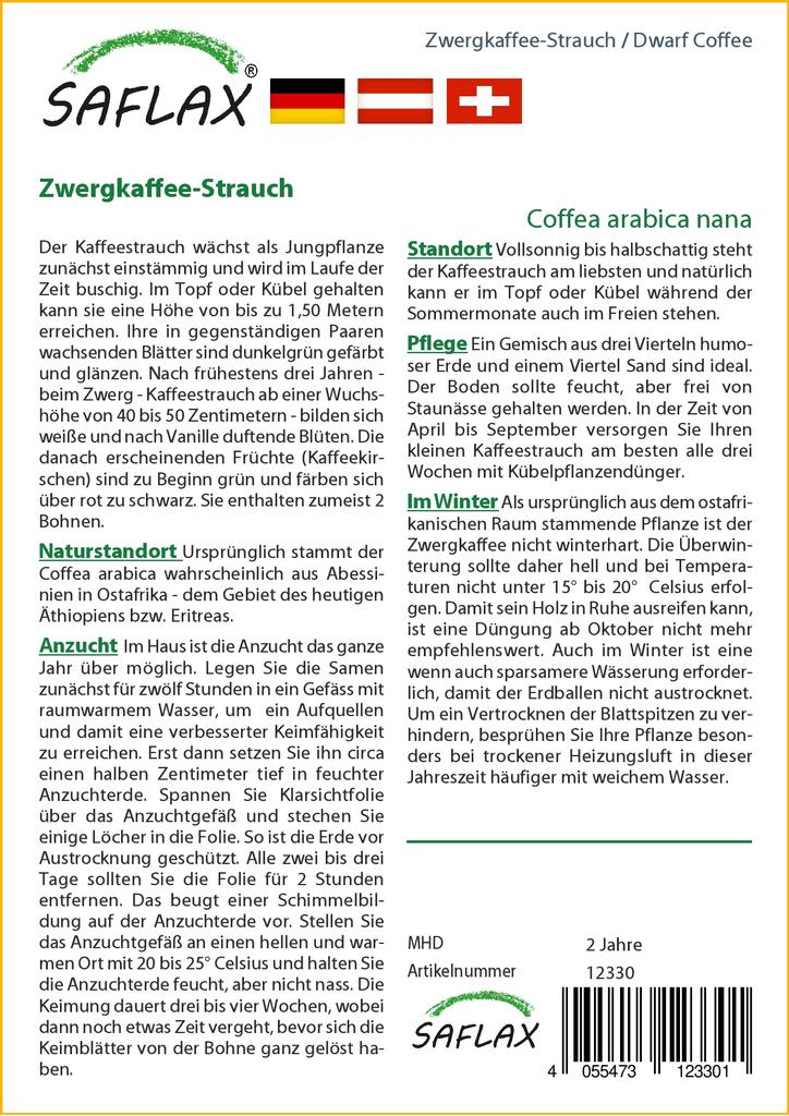 SAFLAX Кофе Карлик - 8 семян - Coffea arabica nana