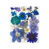 1 Pack Dried Flowers Decoration Embossing Flowers Handmade Flower Material Natural Dry Flowers Candle For Making Crafts Nail Art Decoration