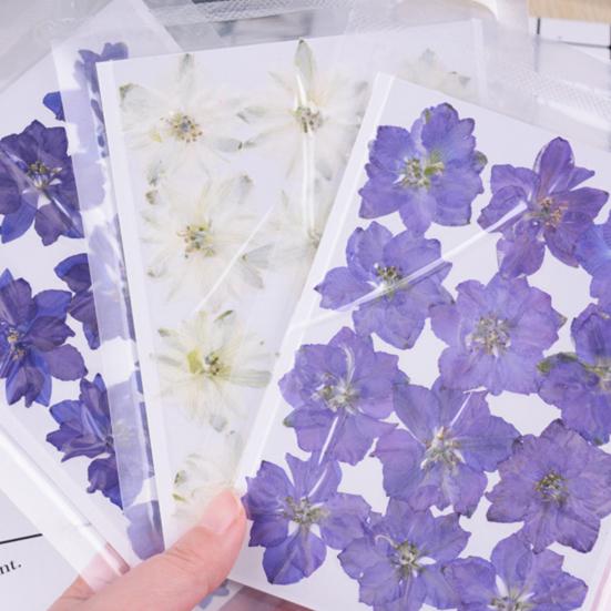 12Pcs Dried Flowers Creation Epoxy Resin DIY Pressed Long-lasting Dried Flowers