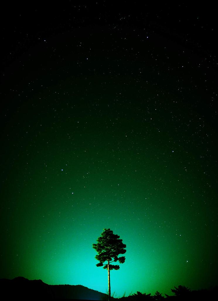 OM Single Focus Lens DIGITAL 17mm Silver SYSTEM/OLYMPUS M.ZUIKO F1.8