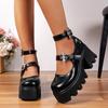 Women Pumps New Platform High Heels Japanese Style Vintage Lolita Shoes for Women Outdoor Fashion Sexy Pumps Zapatos De Mujer