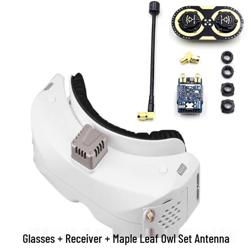 SKY04X Pro FPV Goggles with DVR