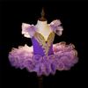 Children's Dress, Princess Dress, Ballet Dress, Dance Performance Dress