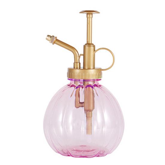 Винтажный прозрачный верхний насос, лейка, горшок, садовый патио, распылитель для роста растений