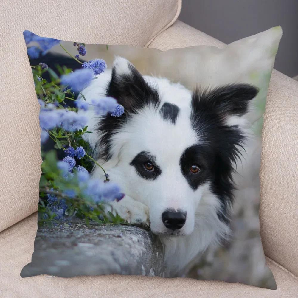 Милый Домашний Питомец Наволочка Шотландия Бордер Колли Наволочка для Дивана Автомобильного Декора Принт Собаки Мягкая Плюшевая Наволочка
