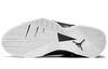 Air Jordan True Flight 'Черно-белый' Gs 343795-026