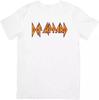 Def Leppard Music Unisex Fit Suitable for Men & Women Quality Cotton T-Shirt