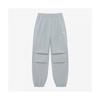 North Face Store Genuine North Face The North Face Np6nr06l White Label Ice Run Pants Cool Gray 1797267