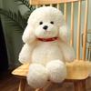 Teddy Dog Puppy Doll Plush Toys Sitting Poodle Doll Zoo Event Gifts